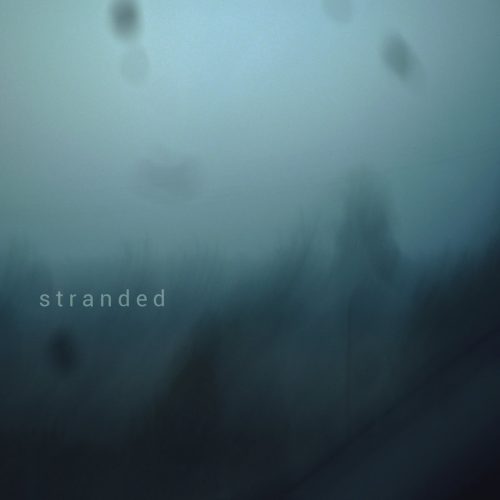 2017-stranded-pepo-galan-gartner-1200x1200px 2017-stranded-pepo-galan-gartner-1200x1200px